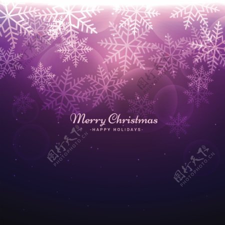 紫色的背景虚化背景的雪花的圣诞