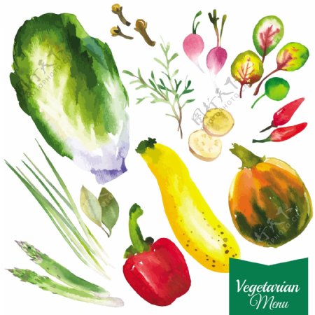 水彩绘蔬菜