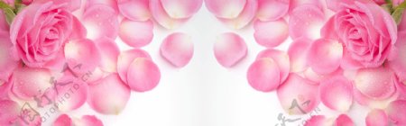 粉色花瓣淘宝海报背景