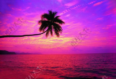 紫色夕阳海岸插图