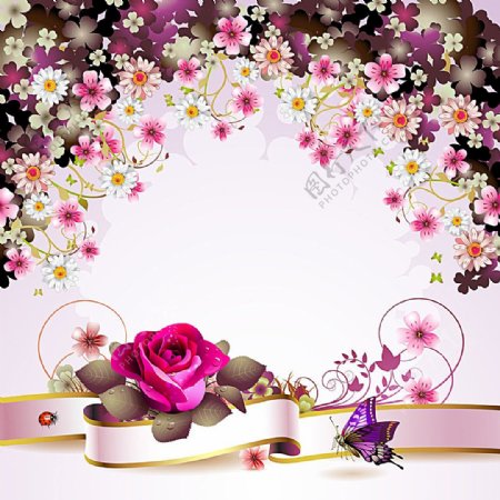 粉玫瑰与蝴蝶