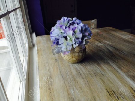 花盆里的紫色小花