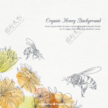 手绘水彩花和蜜蜂背景