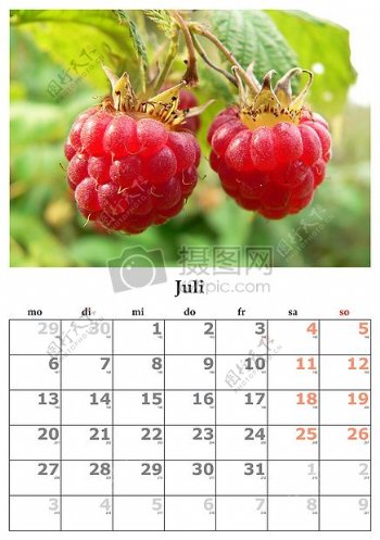 带有树莓的日历