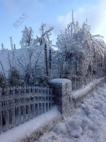 冬天篱笆上的结冰