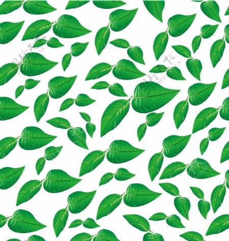 绿色树叶矢量图形素材集
