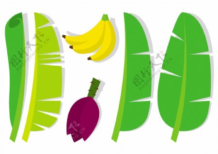 香蕉叶和水果