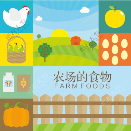 农场的食物插画