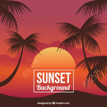 热带日落背景与棕榈树