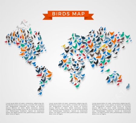 彩色鸟类世界地图矢量素材