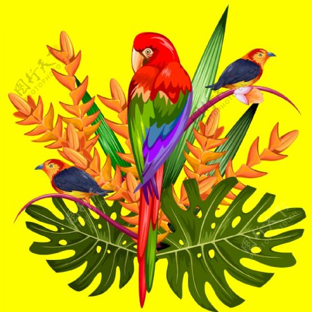 热带彩绘金刚鹦鹉插画