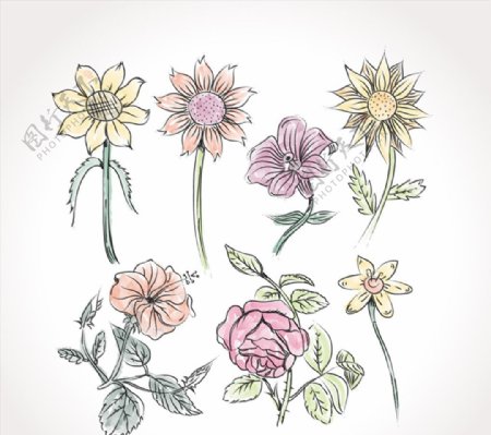 7款彩绘花朵设计矢量素材
