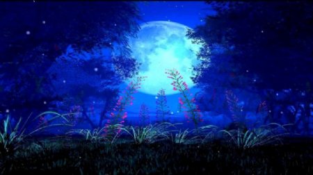 蓝色树影月亮花开婚礼led大屏幕
