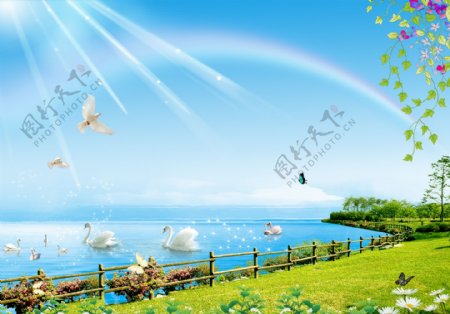 3D湖水栏杆游鸭彩虹背景墙
