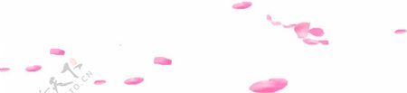 粉色梦幻漂浮花瓣png元素素材