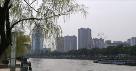 京杭大运河对岸的高楼群