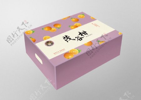 水果柑子橘子橙子特产包装设计