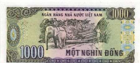 越南币1000元背面