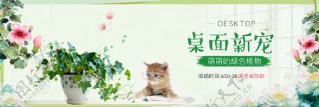 绿色小清新桌面宠物猫咪绿植全屏海报banner淘宝电商