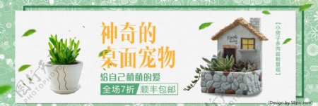 绿色小清新植物盆栽多肉桌面宠物电商海报banner