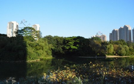 城市湿地公园