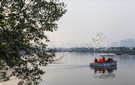 洋湖湿地