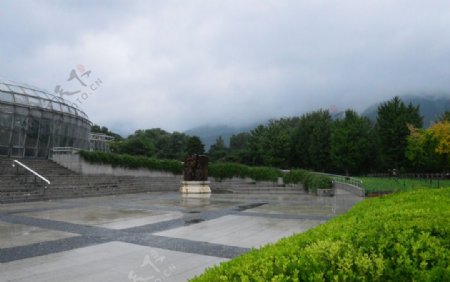 阴雨植物园
