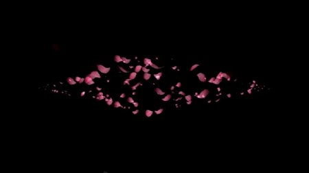 浪漫粉色花瓣动态视频素材
