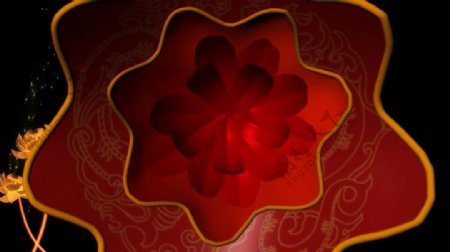 红色花朵视频素材背景