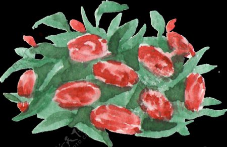 红花绿叶透明装饰图案