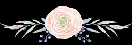 手绘粉色玫瑰花透明装饰图案