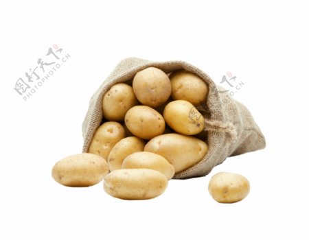 土豆蔬菜麻袋植物果实新鲜马铃薯素材