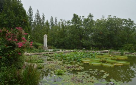 南植物园风景