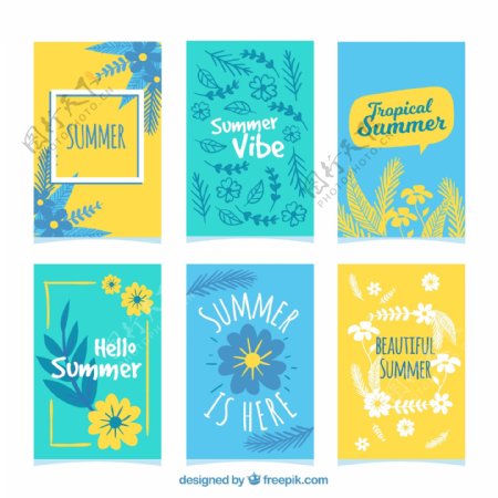 美丽的夏日卡片收藏
