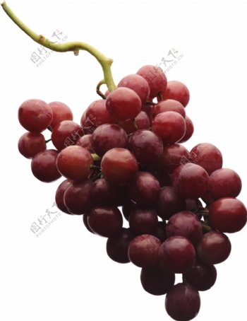 水果葡萄食物