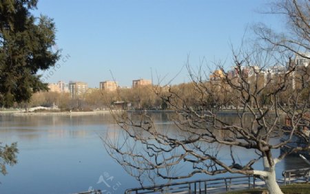 冬日龙潭湖