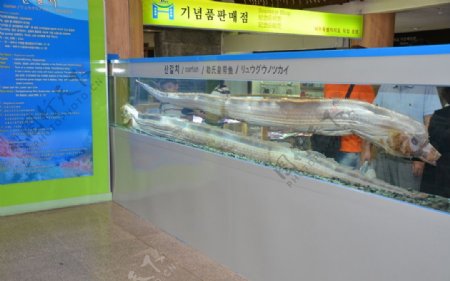 化石展厅