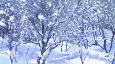冬季下雪的树林动态视频素材