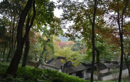 天平山风光