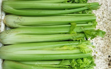 绿色蔬菜西芹菜
