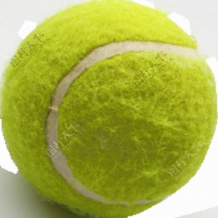 绿色网球图片免抠png透明素材