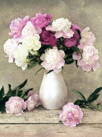 粉嫩的花瓶插花油画