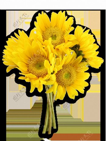 黄色葵花太阳花免抠png透明图层素材