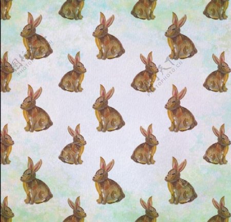 手绘兔子壁纸