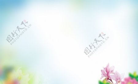 清新粉色花朵淘宝全屏banner背景