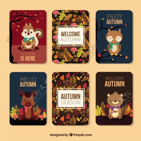可爱的动物秋季卡片