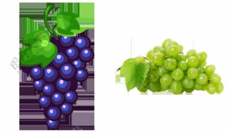 紫色和绿色葡萄免抠png透明图层素材