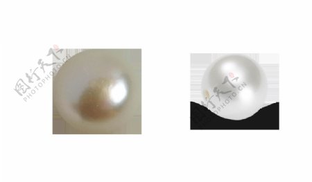 两颗珍珠免抠png透明图层素材