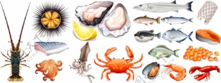 写实新鲜海鲜食材插画
