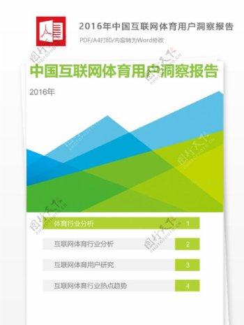 2016年中国互联网体育用户调查报告